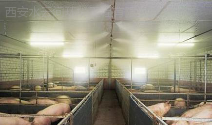 水云間噴霧降溫系統(tǒng)在養(yǎng)殖畜舍降溫系統(tǒng)技術(shù)及