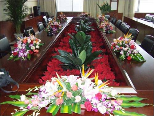 辦公室不同空間如何進行綠化裝飾