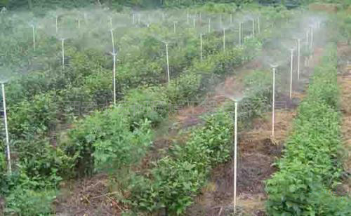 噴灌噴淋系統(tǒng)簡(jiǎn)介